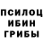 Галлюциногенные грибы мицелий Frou4