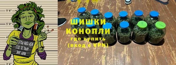 ешки Гусь-Хрустальный