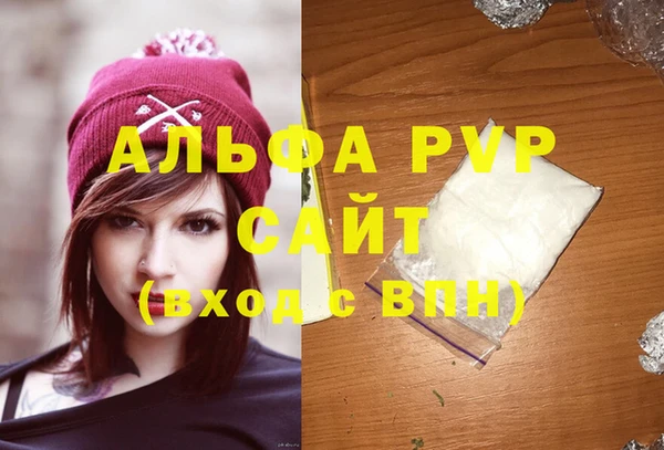 хмурый Гусев