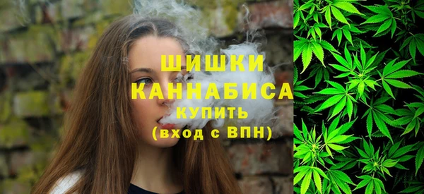 хмурый Гусев