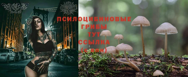 ешки Гусь-Хрустальный