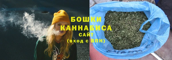 ешки Гусь-Хрустальный