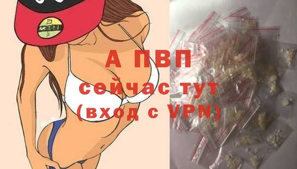 хмурый Гусев